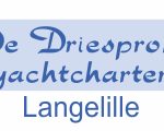 Driesprong logo